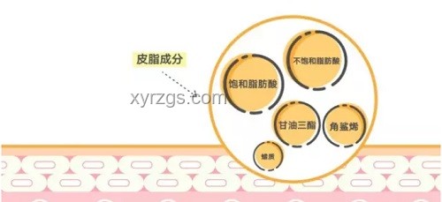 全合成与传统合成的对比分析：意义何在？